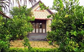 Wild Wadi Sasan Gir